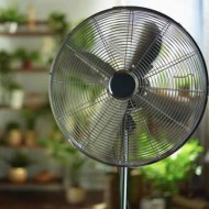 Pedestal Fan, Pedestal Fan Price, Pedestal Fan Online